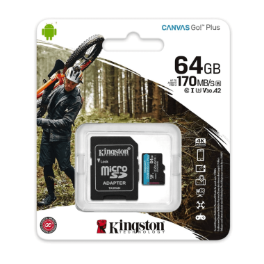 Canvasgo64 (1)
